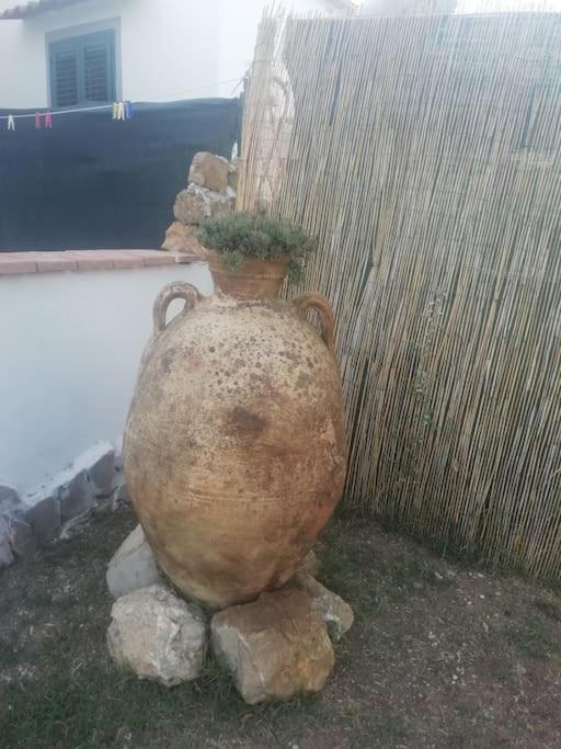 Villetta A Schiera Nei Pressi Del Mare Livorno Exteriör bild