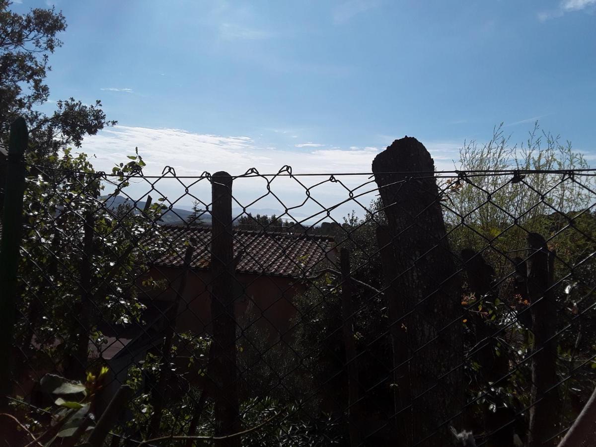 Villetta A Schiera Nei Pressi Del Mare Livorno Exteriör bild
